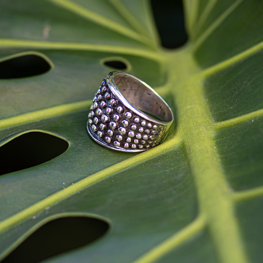 Anillo Silver lights