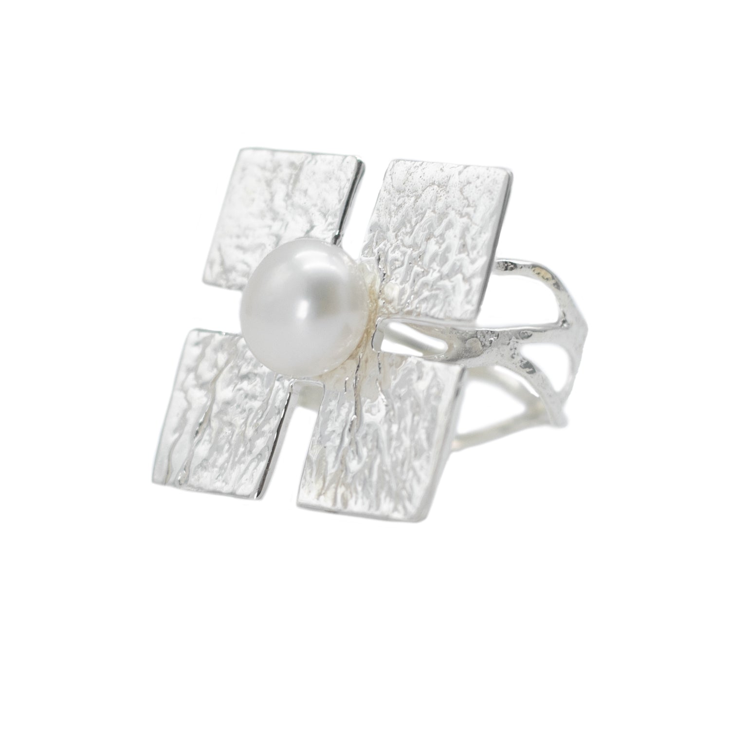 Anillo Eje