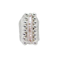 Anillo Cauce