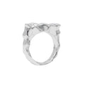 Anillo Rolius